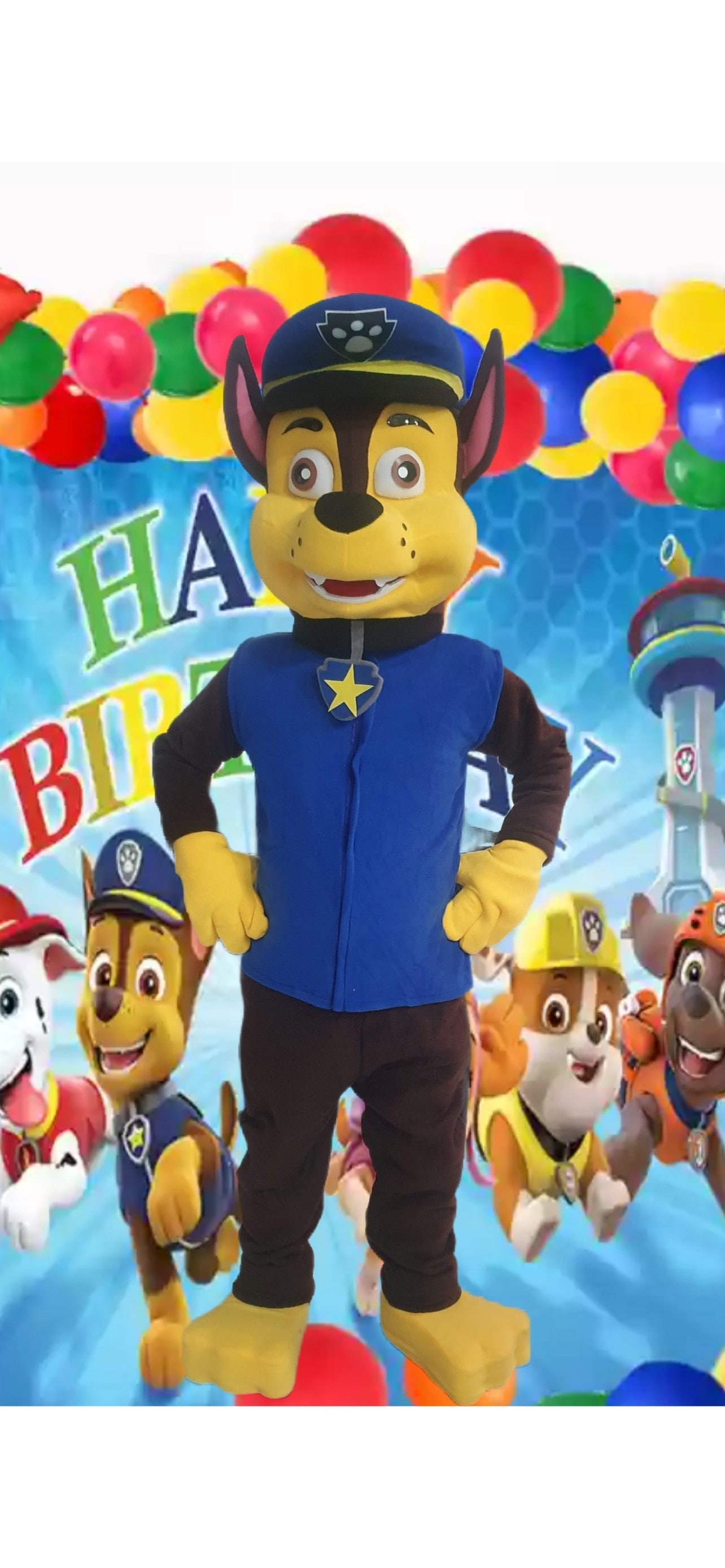 Our Characters come with an assistant for musical games with prizes, umplified equipment and pictures
